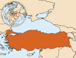 土耳其人口数量2018-2019年土耳其有多少人口