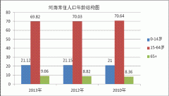 2013年河南人口发展报告