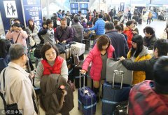 2008中国人口数_日媒图解近年访日游客