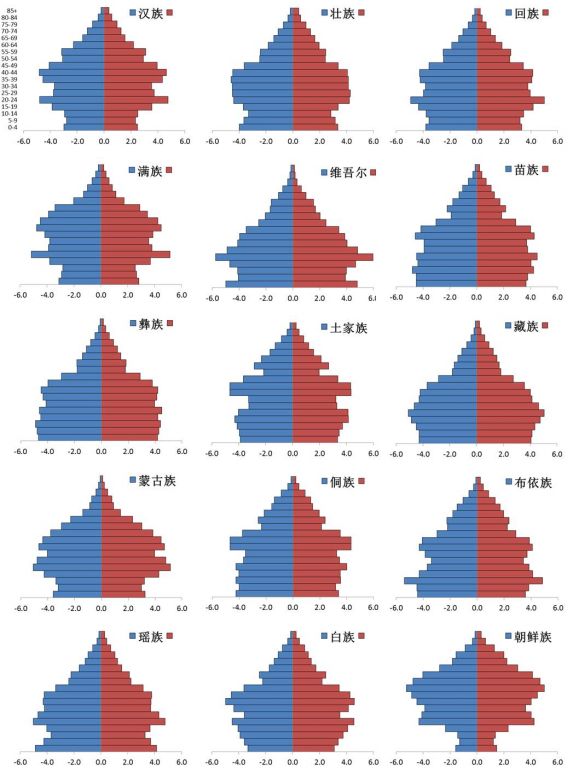 中国各民族人口数据_各民族有多少人口