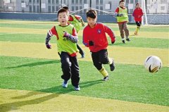 青岛学生足球人口后年增至30万 校园足球或实现考级
