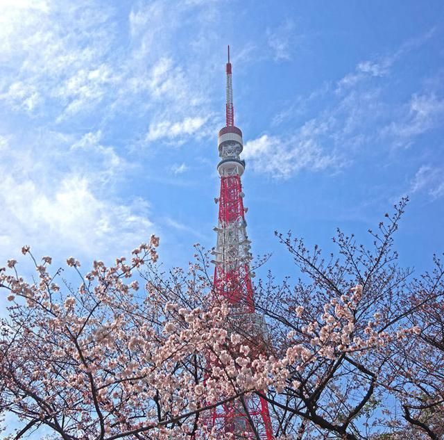 全球城市人口数量排行榜：国内一城上榜