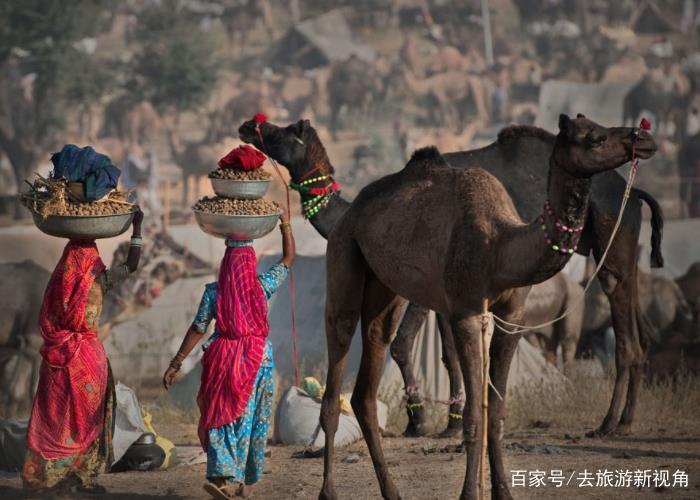 中国印度人口_中国可耕地仅有印度的2/3咋养活14亿人？剑桥博士的答案绝了！(2)