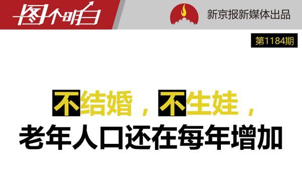 人口政策二胎_个推大数据：作业辅导领域率先享受二胎政策人口红利,开学季用