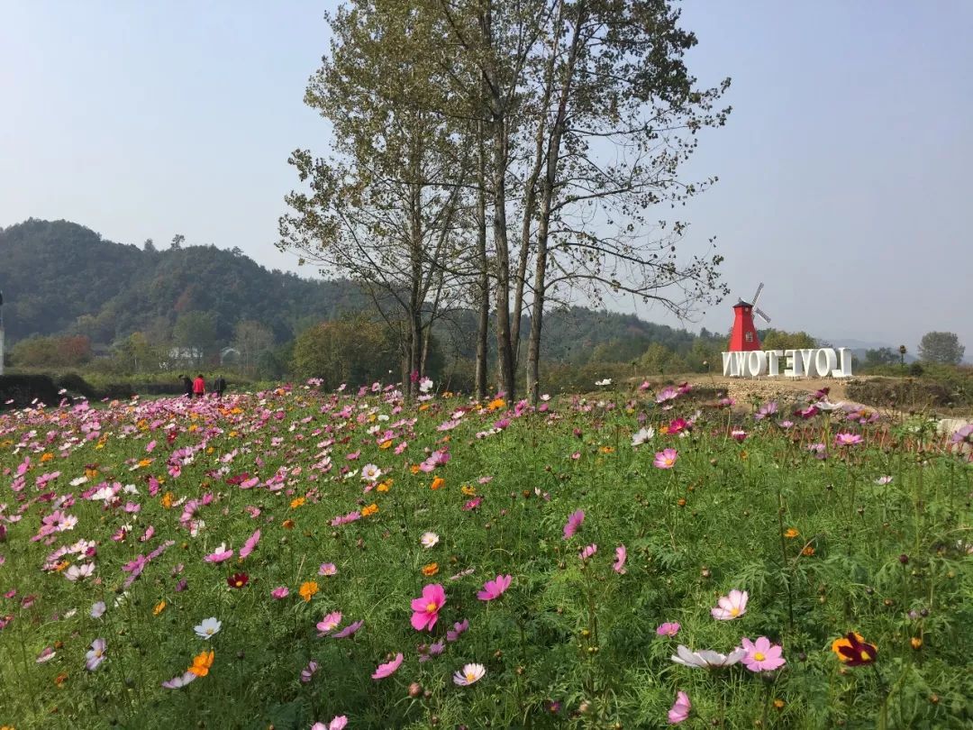 什么是人口宾馆_那些花高价去体验帐篷酒店的人在想什么？