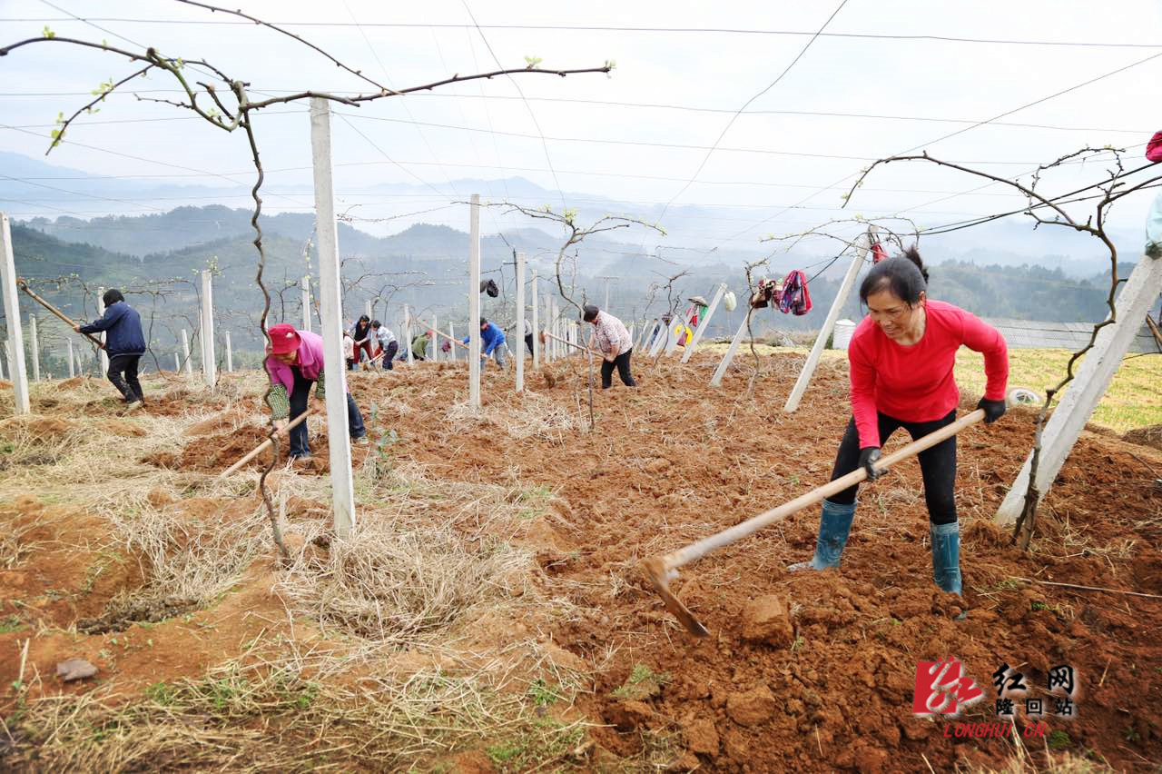 隆回县有多少人口_2018湖南邵阳市隆回县办税服务厅室窗口人员招聘10人公告