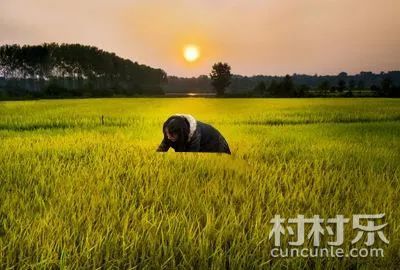 海南省人口与计划生育条?_海南省人民zf关于印发海南省旅游业疫后重振计划