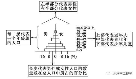 人口金字塔图_地理观察关于人口普查的知识点,人口统计图的判读,人口金字.