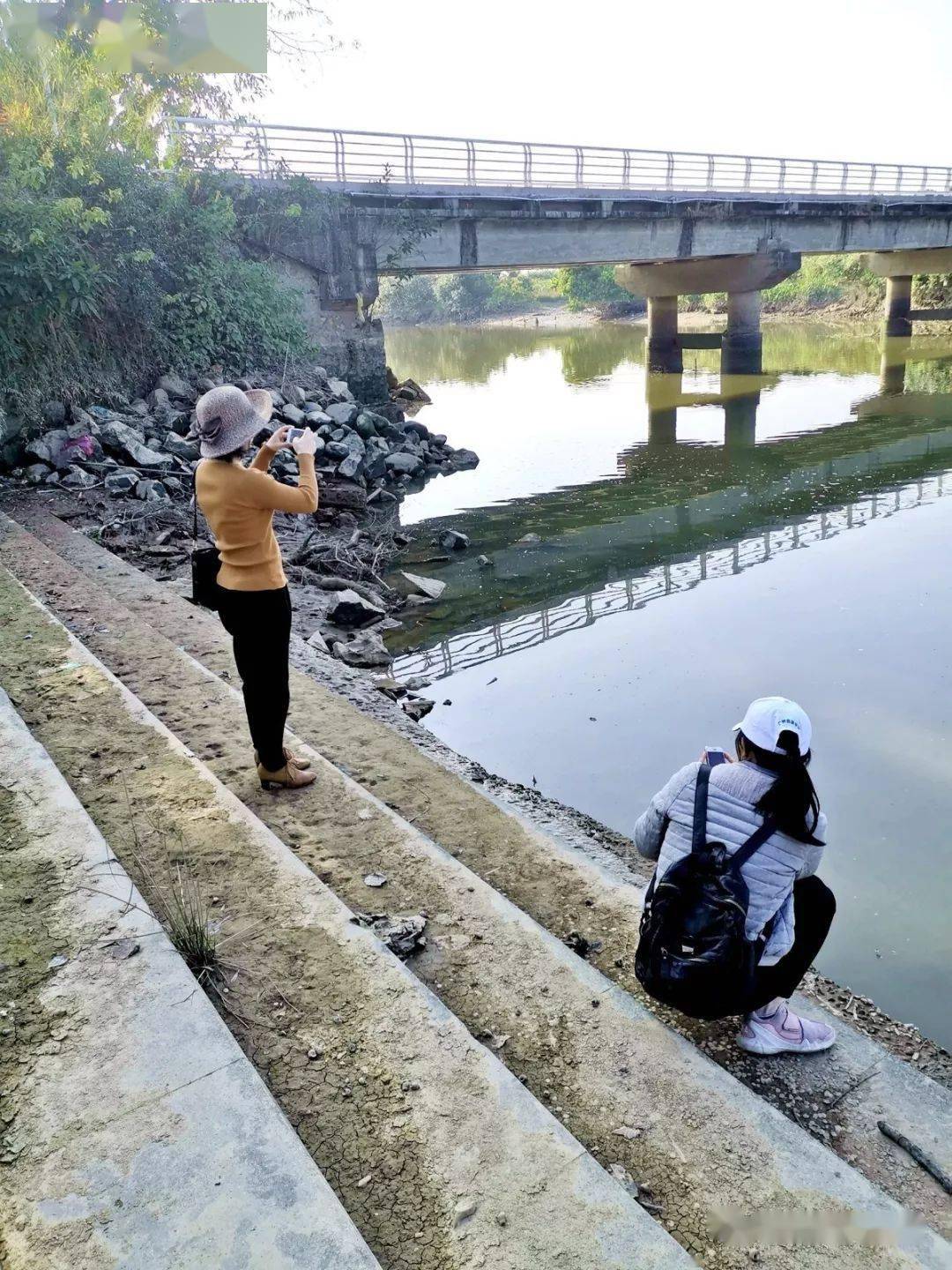 增城人口_增城区启动第七次全国人口普查登记工作,预计普查户数约60万